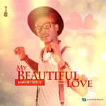 JOHNNY DRILLE - 'MY BEAUTIFUL LOVE' 2