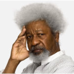 On US election matters: I WILL TEAR MY GREEN CARD- Wole Soyinka 10