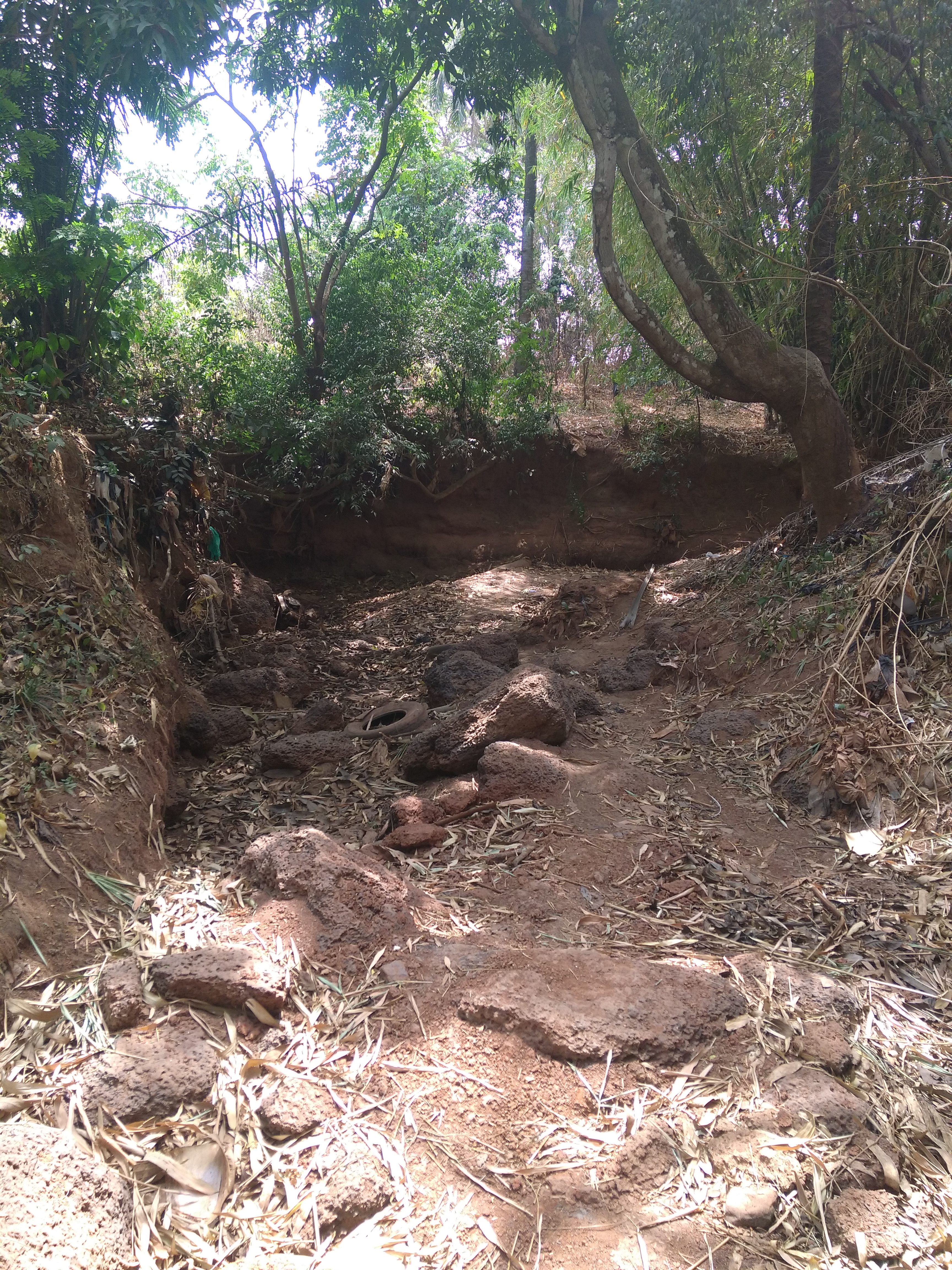 Ugwuaji town of Enugu State Nigeria and the Seasonal Water Ravines 1