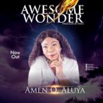 Awesome Wonder By Amen O. Aluya