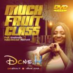 Much fruit Class - Dcns H