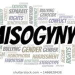 BECOMING CONSCIOUS - A DISCOURSE ON MISOGYNY 16