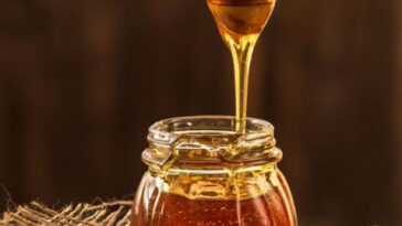 BENEFITS OF CONSUMING HONEY- A SOUND MIND IN A SOUND BODY 2