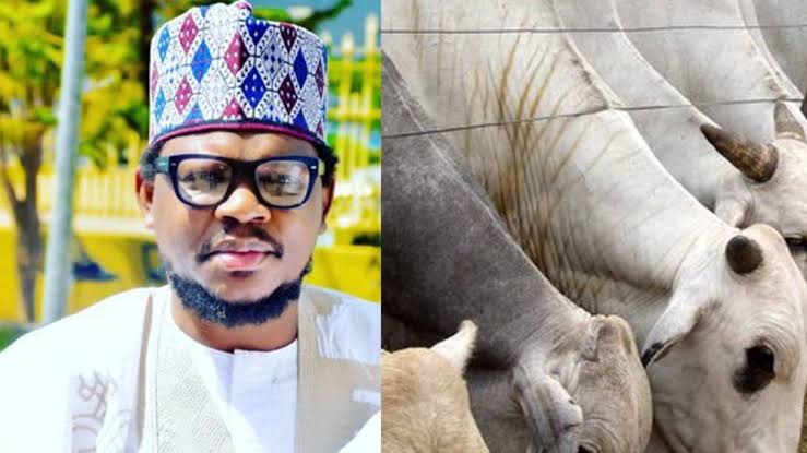 Ex Presidential Aspirant – Adamu Garba introduces Cow investment to Nigerians over Crypto 3