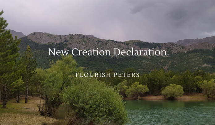 New Creation Declaration